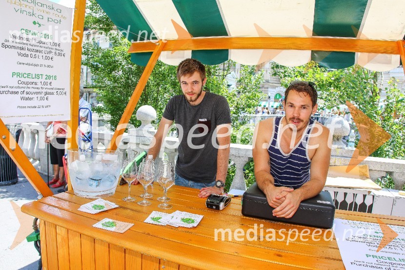 Ljubljanska vinska pot 2016