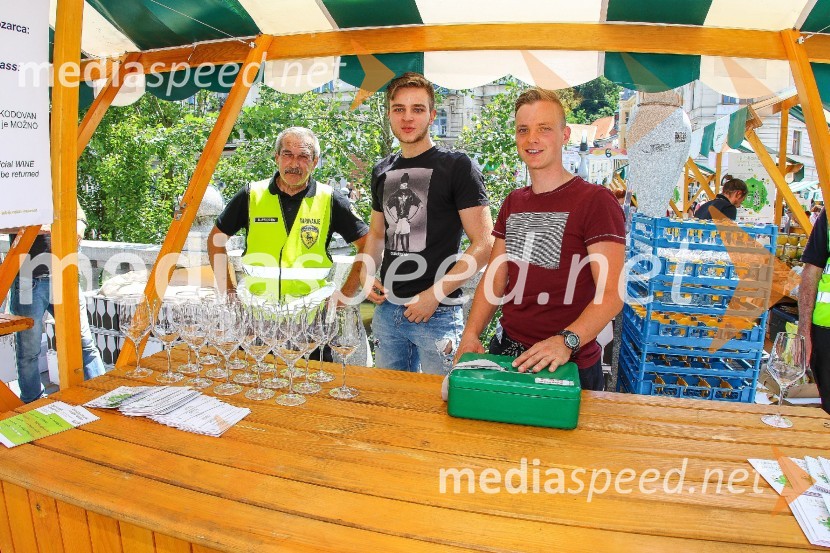 Ljubljanska vinska pot 2016