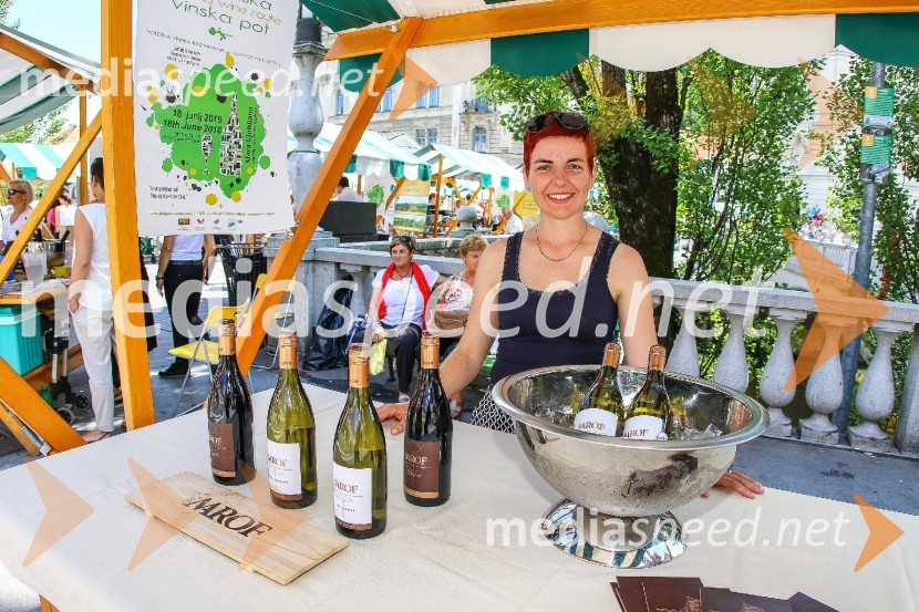 Ljubljanska vinska pot 2016