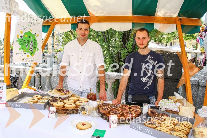 Ljubljanska vinska pot 2016