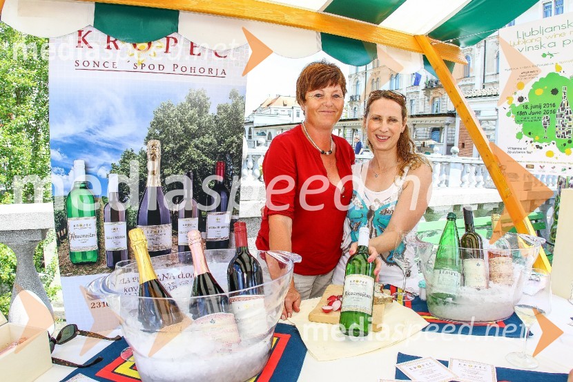 Ljubljanska vinska pot 2016