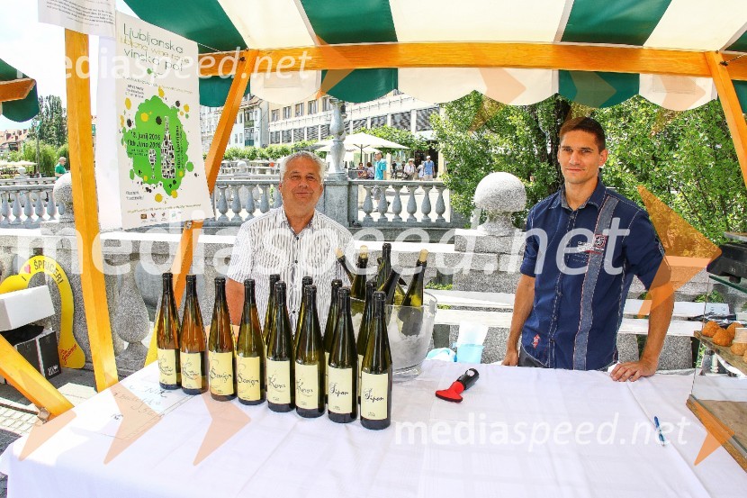 Ljubljanska vinska pot 2016