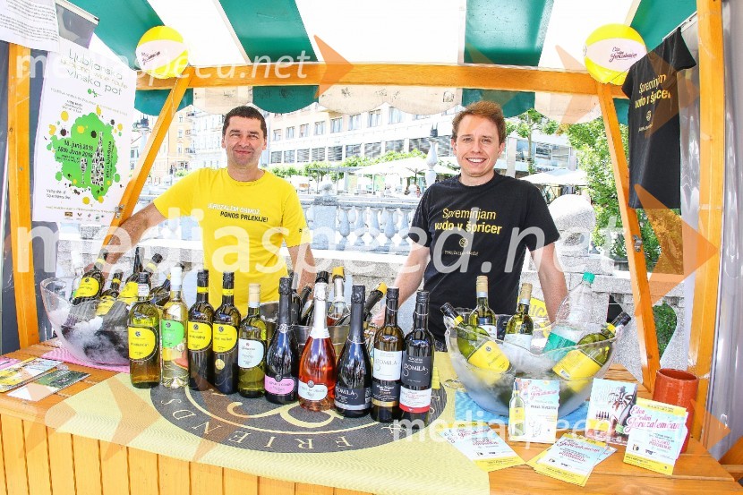 Ljubljanska vinska pot 2016