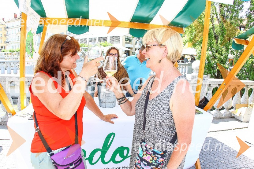 Ljubljanska vinska pot 2016