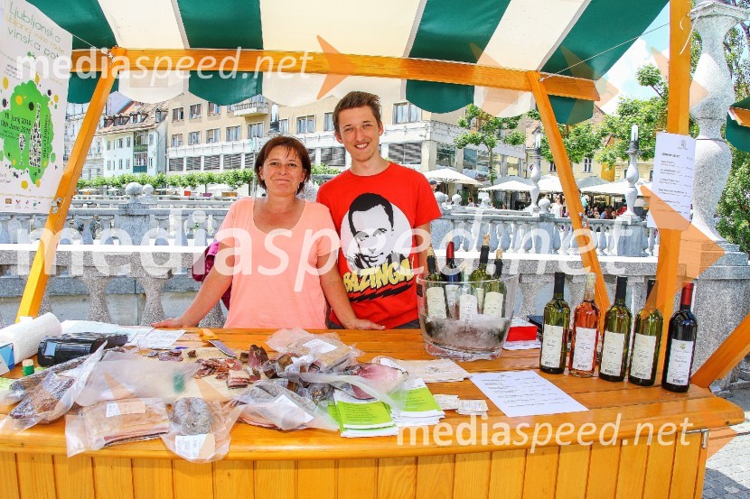 Ljubljanska vinska pot 2016