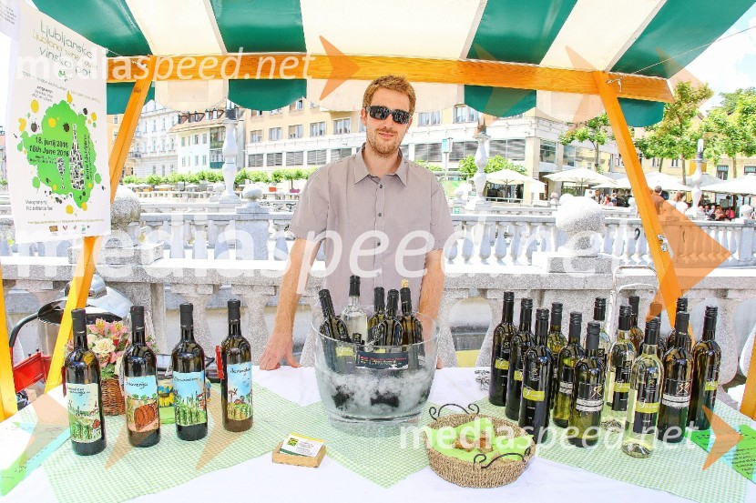 Ljubljanska vinska pot 2016