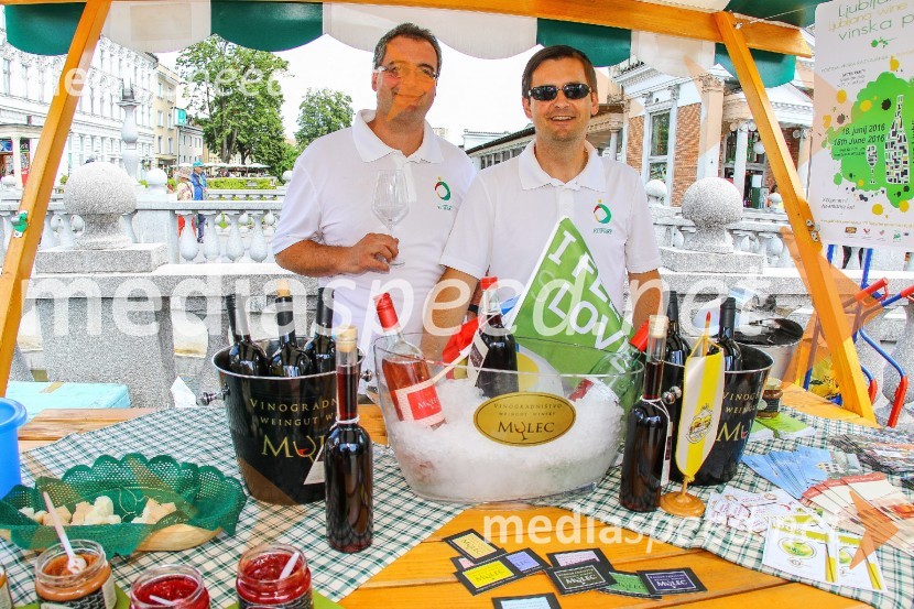 Ljubljanska vinska pot 2016