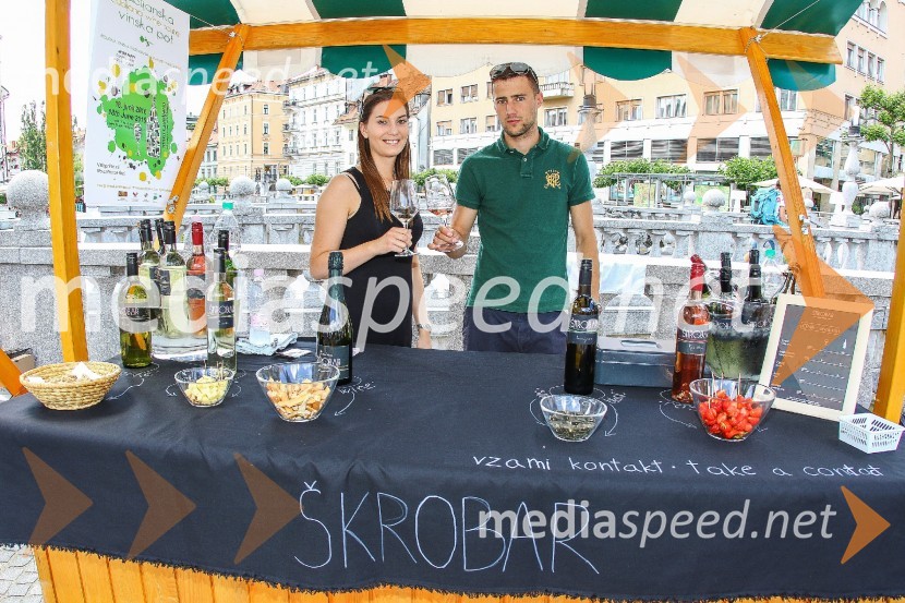 Ljubljanska vinska pot 2016