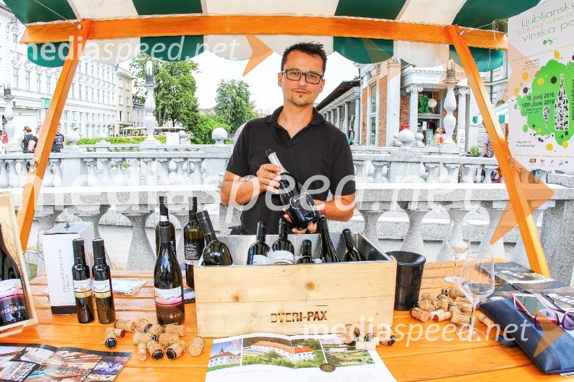 Ljubljanska vinska pot 2016
