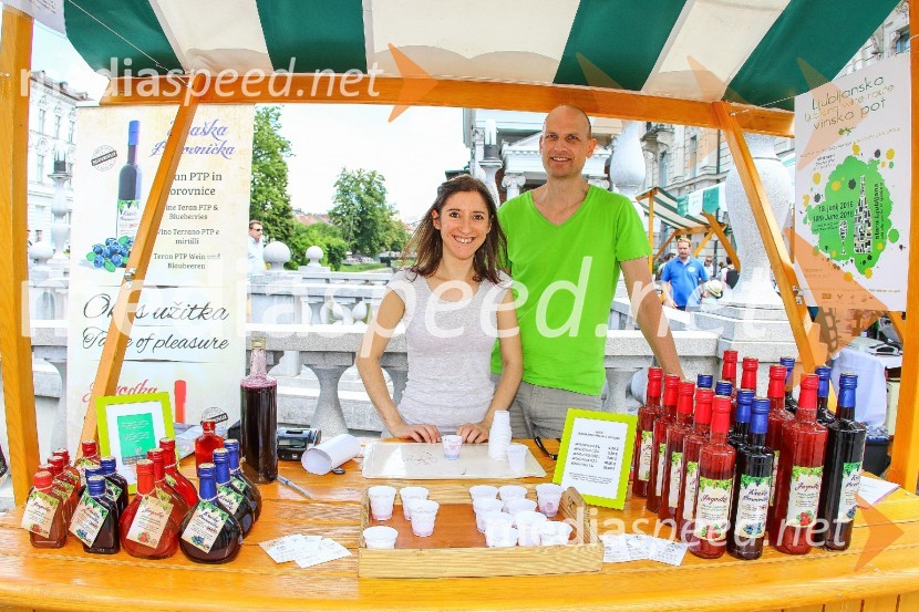 Ljubljanska vinska pot 2016