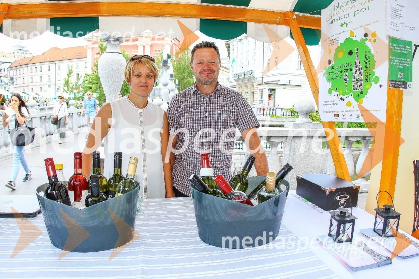 Ljubljanska vinska pot 2016
