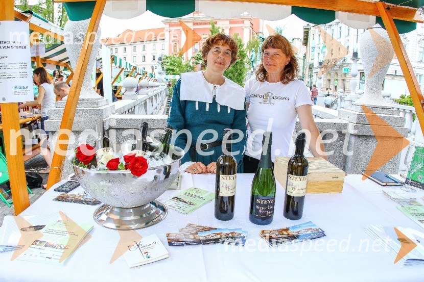 Ljubljanska vinska pot 2016