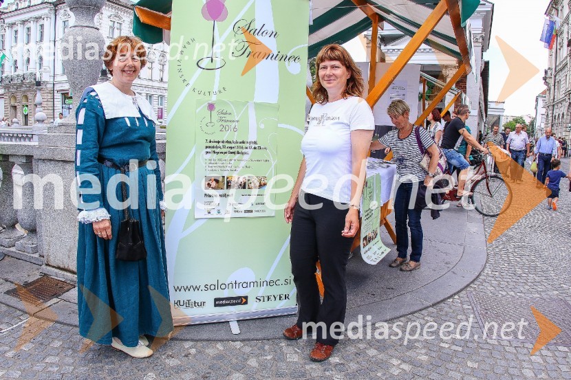 Ljubljanska vinska pot 2016