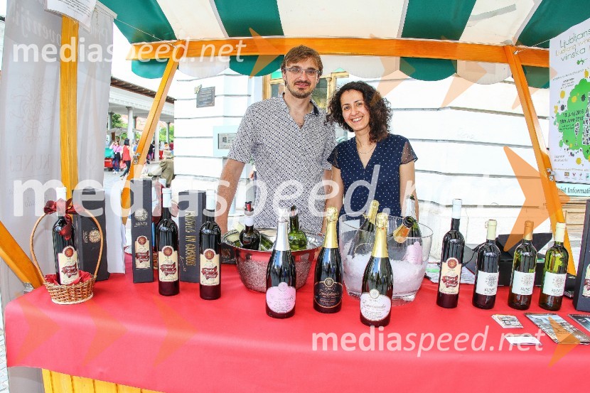 Ljubljanska vinska pot 2016