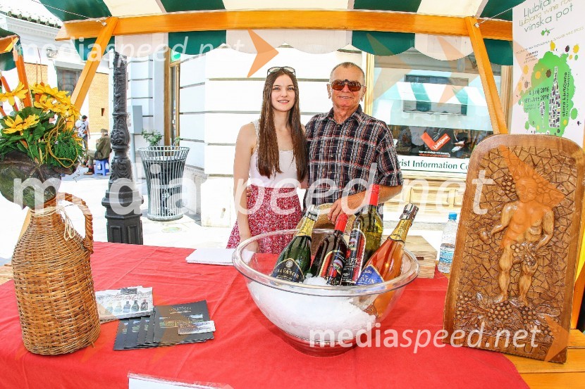 Ljubljanska vinska pot 2016