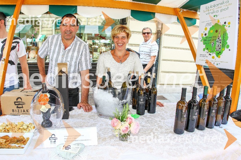 Ljubljanska vinska pot 2016