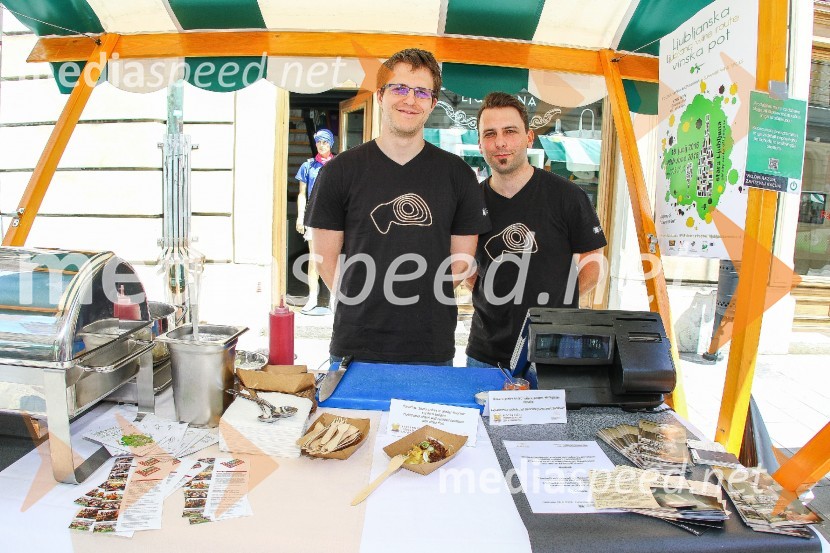 Ljubljanska vinska pot 2016