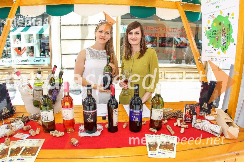 Ljubljanska vinska pot 2016