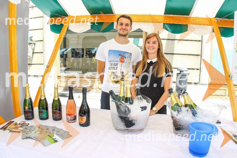 Ljubljanska vinska pot 2016