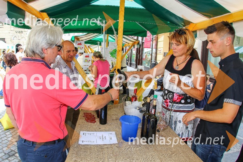 Ljubljanska vinska pot 2016