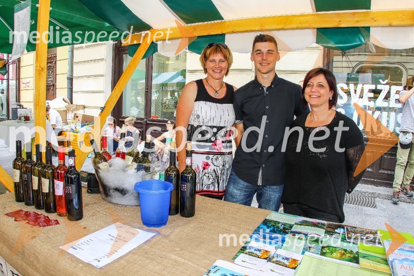 Ljubljanska vinska pot 2016