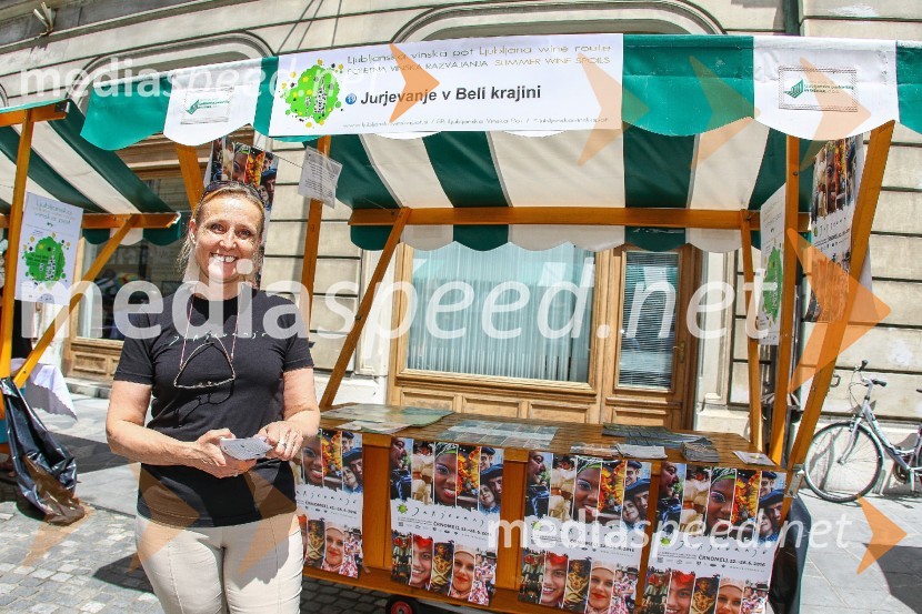 Ljubljanska vinska pot 2016