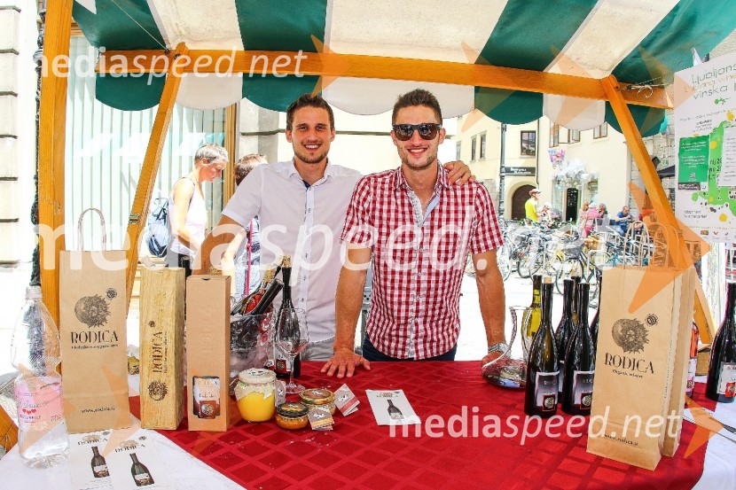 Ljubljanska vinska pot 2016