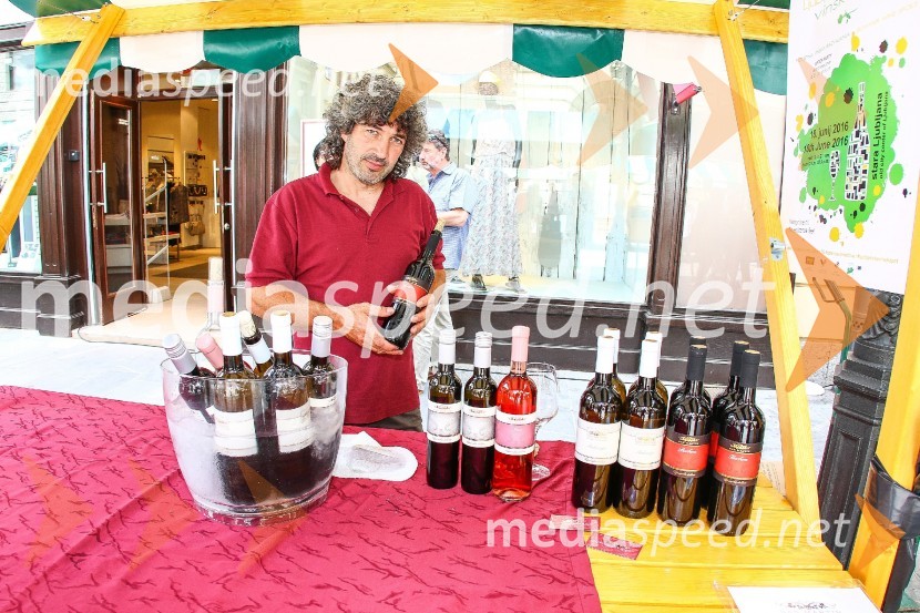 Ljubljanska vinska pot 2016