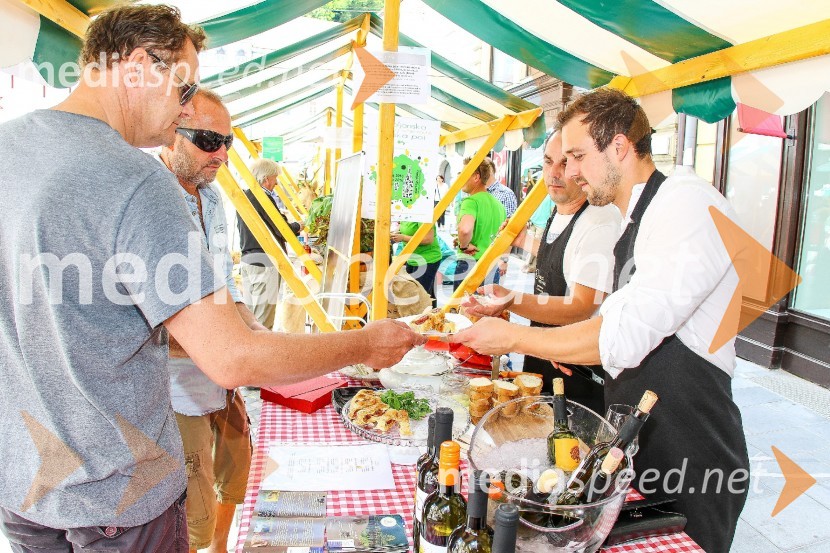 Ljubljanska vinska pot 2016