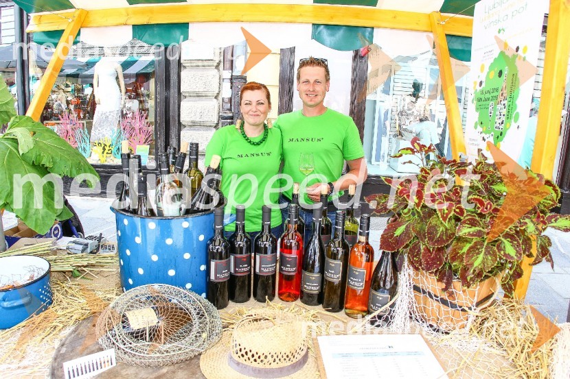 Ljubljanska vinska pot 2016