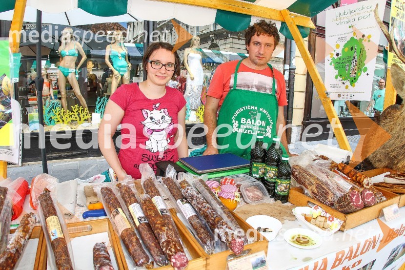 Ljubljanska vinska pot 2016