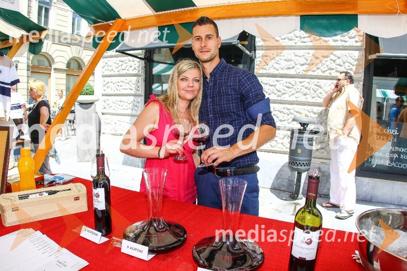 Ljubljanska vinska pot 2016