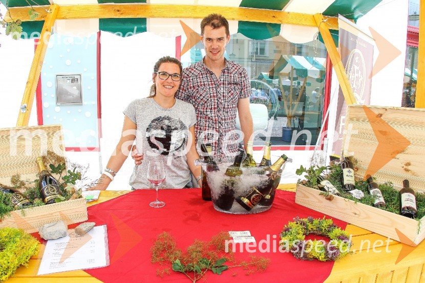 Ljubljanska vinska pot 2016