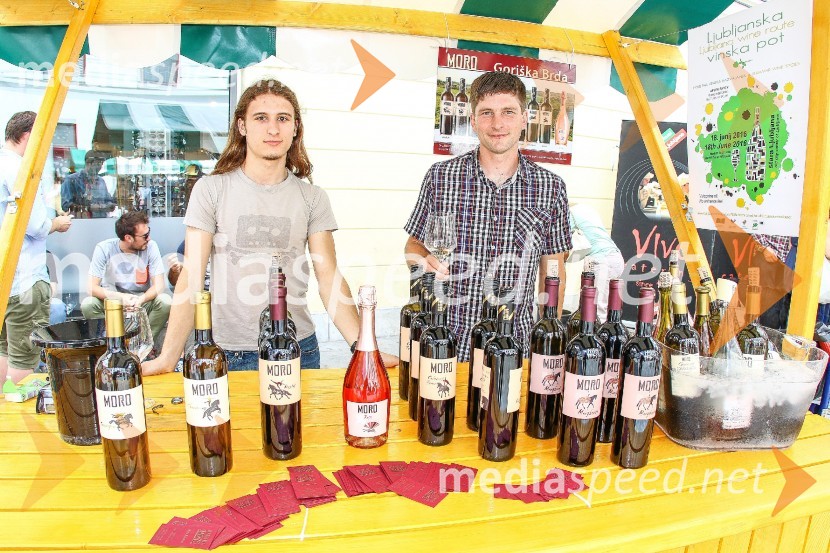 Ljubljanska vinska pot 2016