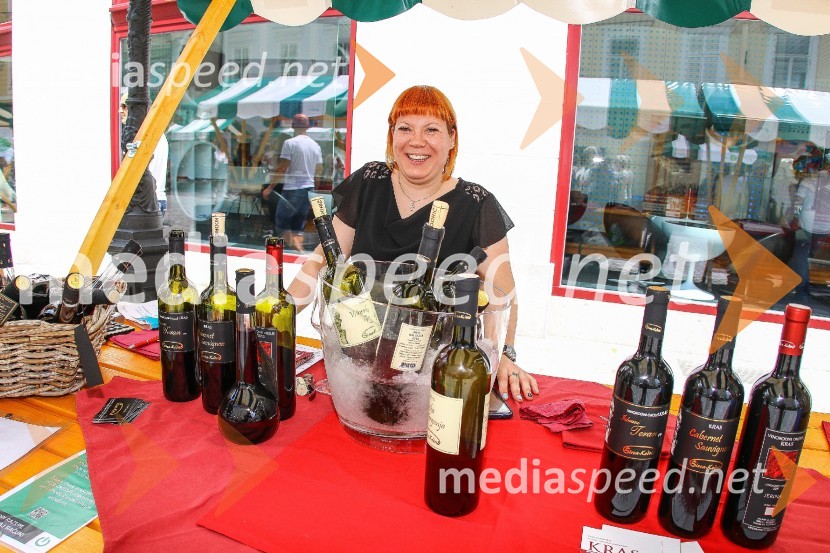 Ljubljanska vinska pot 2016