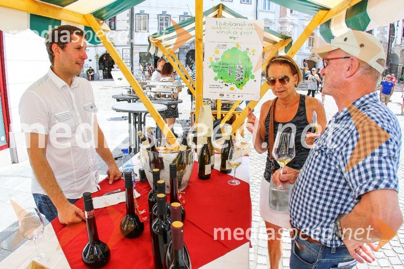 Ljubljanska vinska pot 2016