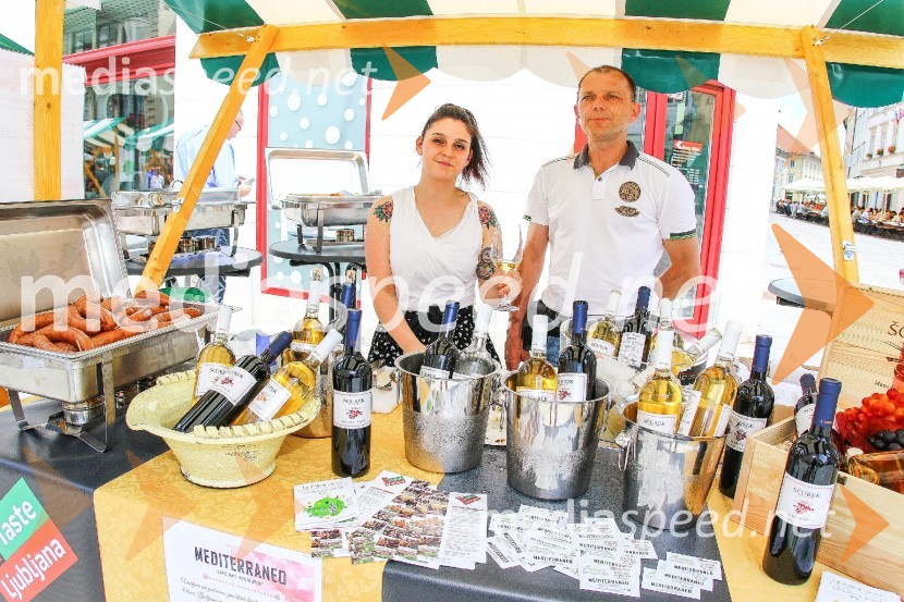 Ljubljanska vinska pot 2016