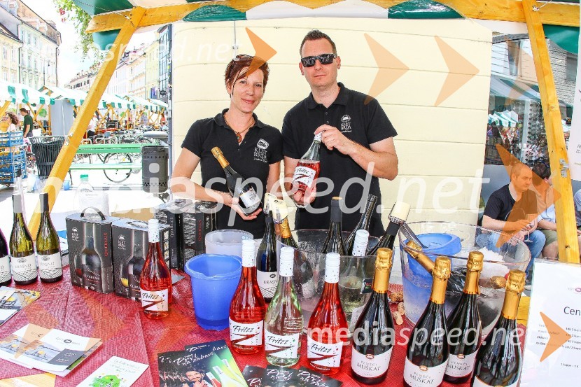 Ljubljanska vinska pot 2016