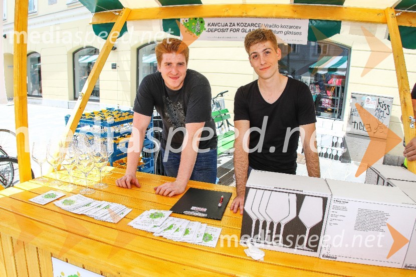 Ljubljanska vinska pot 2016