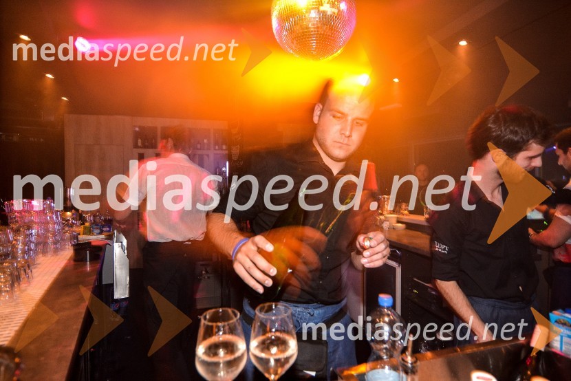Penthouse Clubbing & Martini Racing: DJ BRINA Knauss