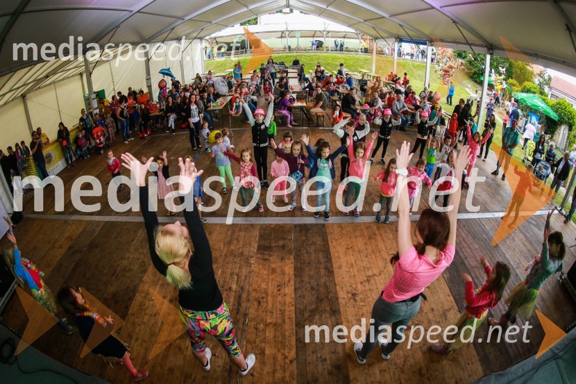 Dan odprtih kleti 2016, Radgonske gorice