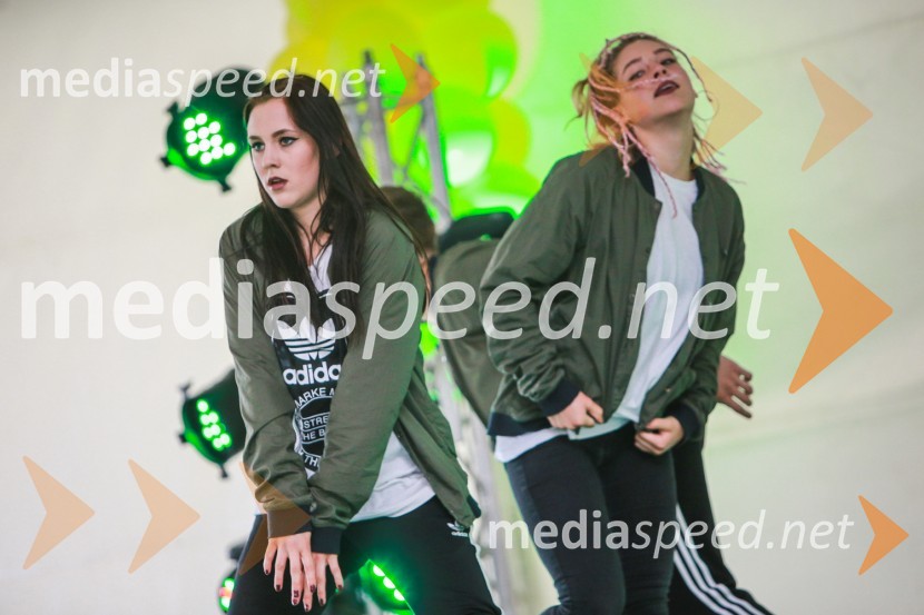 Dan odprtih kleti 2016, Radgonske gorice