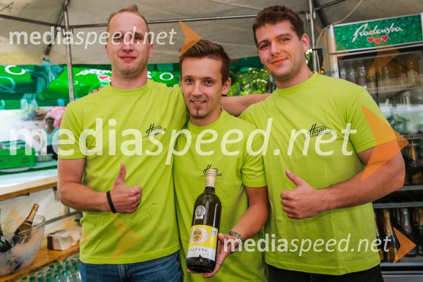 Dan odprtih kleti 2016, Radgonske gorice