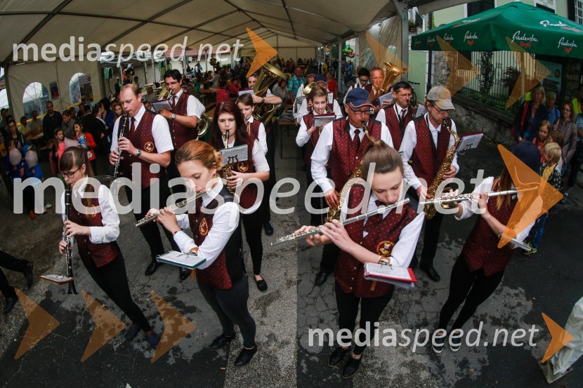 Dan odprtih kleti 2016, Radgonske gorice