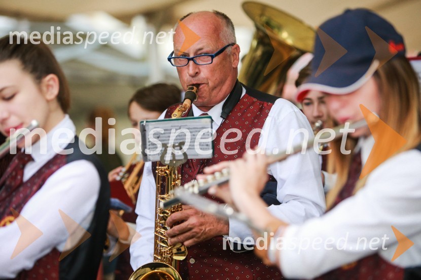 Dan odprtih kleti 2016, Radgonske gorice