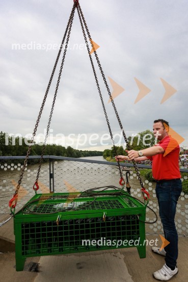 Dan odprtih kleti 2016, dvig penine iz MureDan odprtih kleti 2016, Radgonske gorice