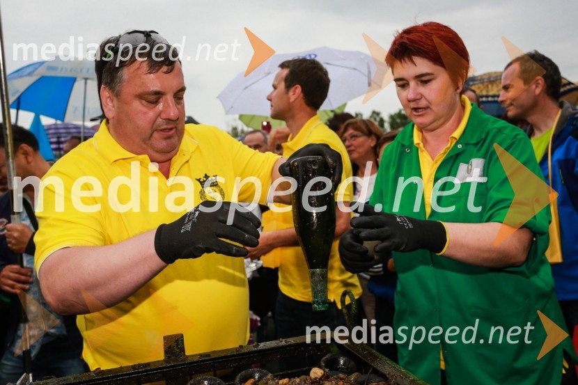 Dan odprtih kleti 2016, Radgonske gorice