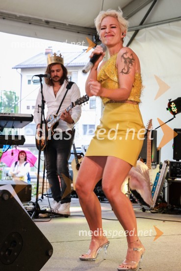  Alja Omladič - Alya, pevkaDan odprtih kleti 2016, Radgonske gorice