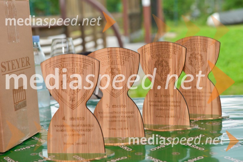 Nogometna tekma med gostinci in vinarji