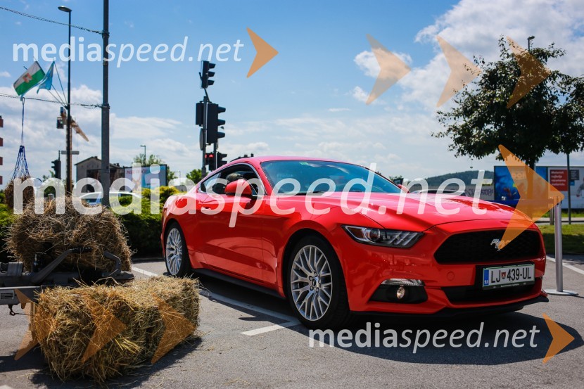 Ford MustangWILD WEST, dan odprtih vrat Summit avto